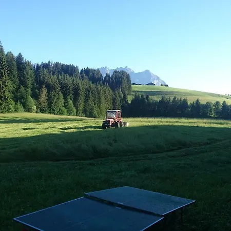 Grueblhof Apartment Reith bei Kitzbuehel